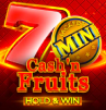 Cash`n Fruits